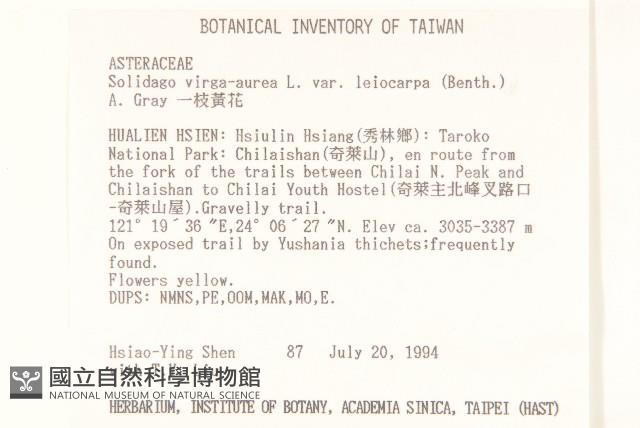 一枝黃花藏品圖，第2張