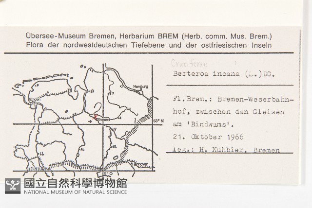 團扇薺藏品圖，第2張