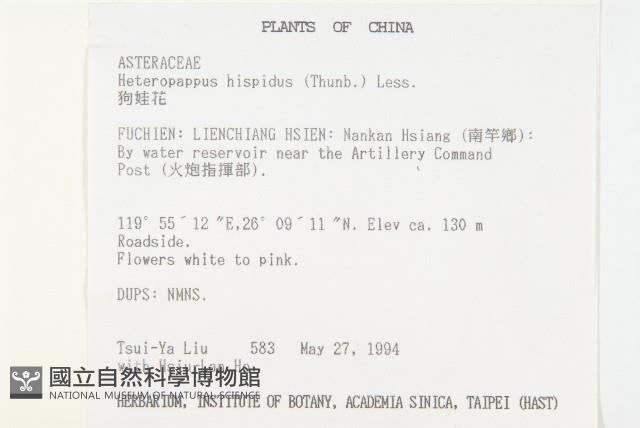 狗娃花藏品圖，第2張