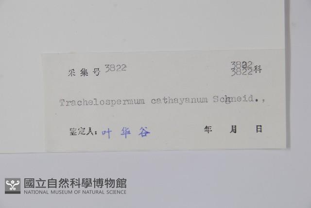 乳兒繩藏品圖，第2張