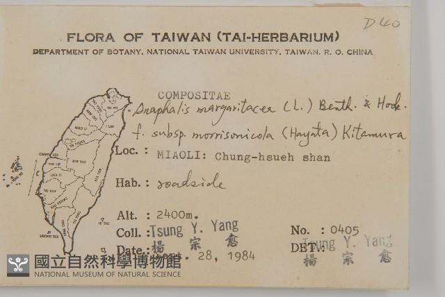 玉山抱莖籟簫藏品圖，第2張