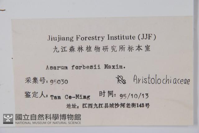 杜衡藏品圖，第2張