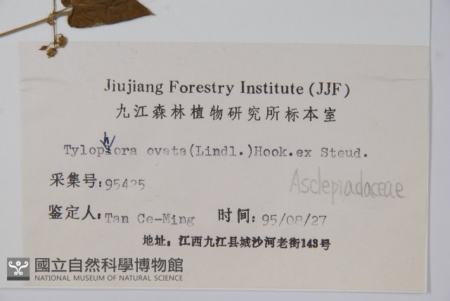 鷗蔓藏品圖，第2張