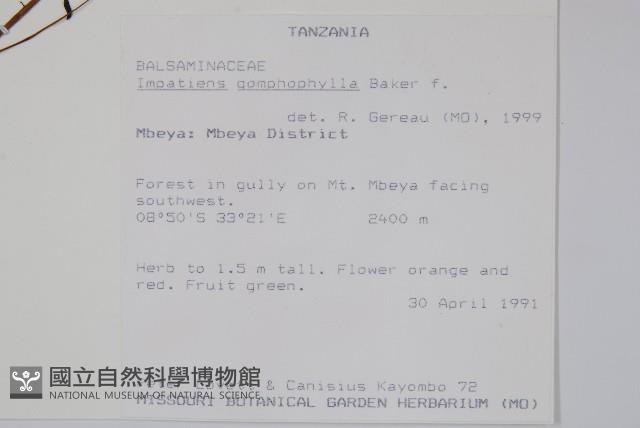登錄號:S094045藏品圖，第2張
