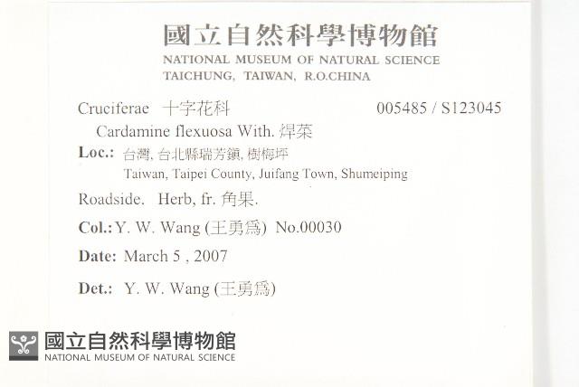 焊菜藏品圖，第2張