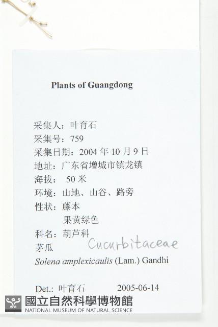 茅瓜藏品圖，第2張