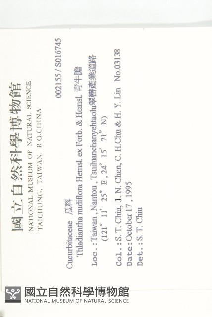 青牛膽藏品圖，第2張