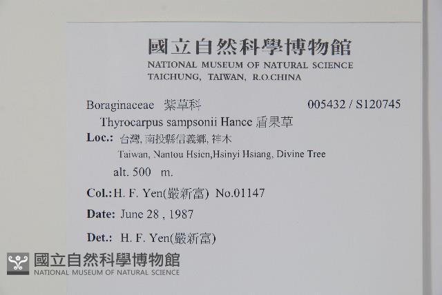 盾果草藏品圖，第2張