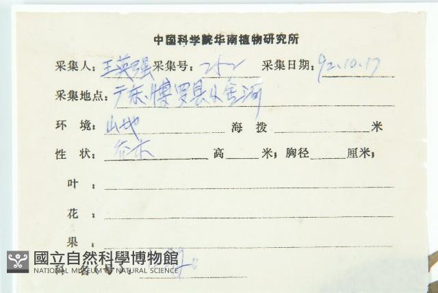 薯豆藏品圖，第2張