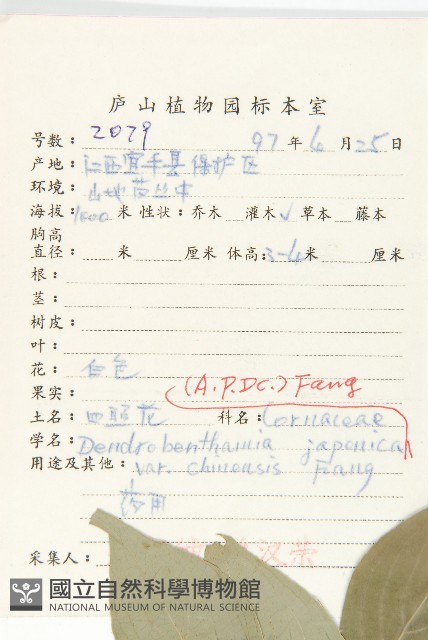 四照花藏品圖，第2張