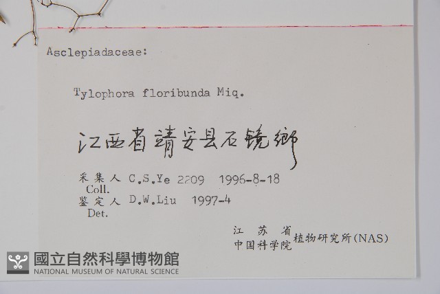 七層樓藏品圖，第2張