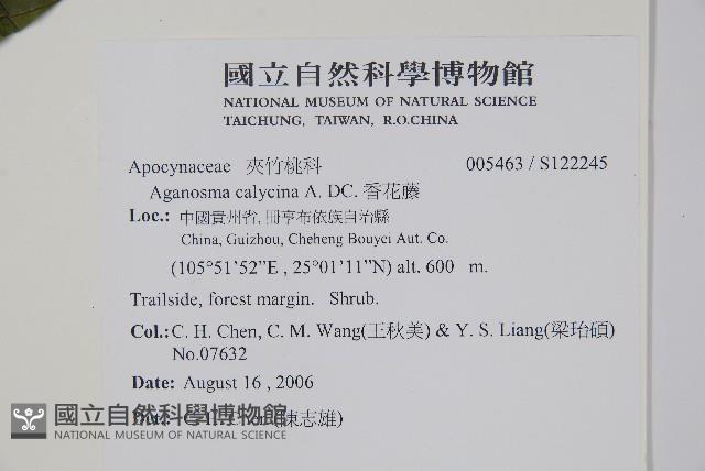 香花藤藏品圖，第2張