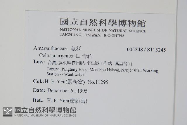 青葙藏品圖，第2張