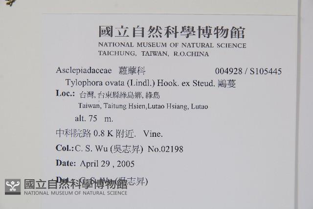 鷗蔓藏品圖，第2張