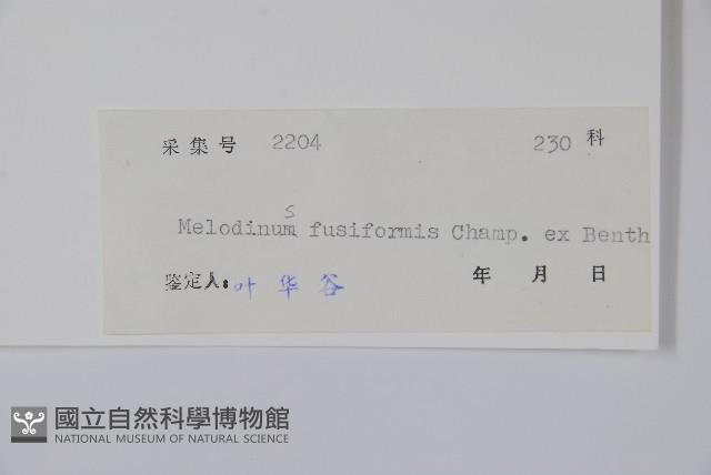 尖山橙藏品圖，第2張