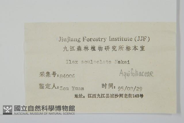 鼠李冬青、滿樹星藏品圖，第2張