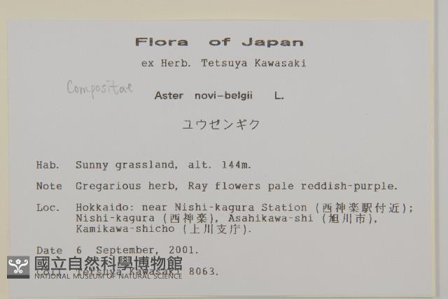 友禪花藏品圖，第2張