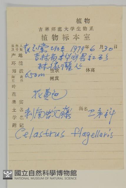 刺苞南蚊藤藏品圖，第2張