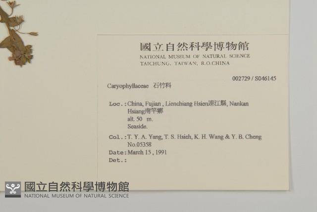 Accession Number:S046145 Collection Image, Figure 2, Total 2 Figures