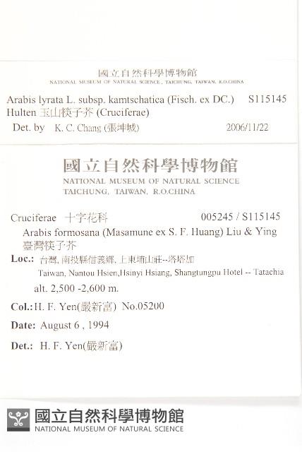 玉山筷子芥藏品圖，第2張