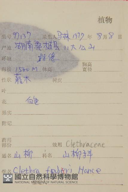 山柳藏品圖，第2張