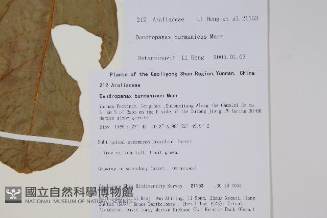 登錄號:S106345藏品圖，第2張