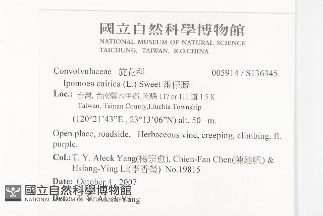 番仔藤藏品圖，第2張