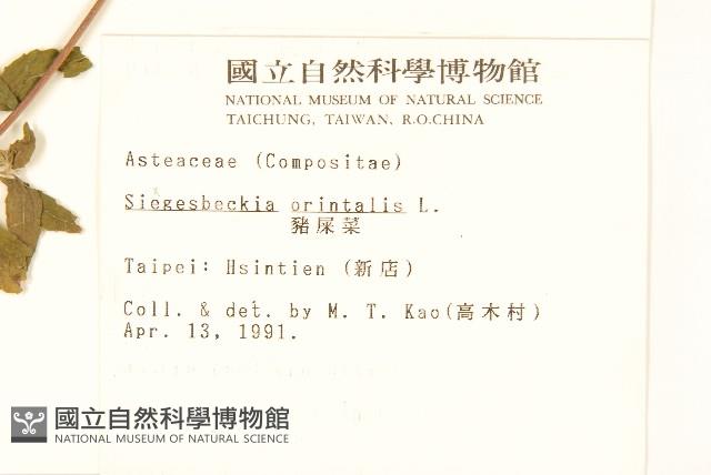 豨薟藏品圖，第2張