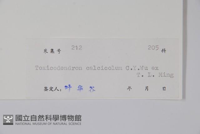 石山漆藏品圖，第2張