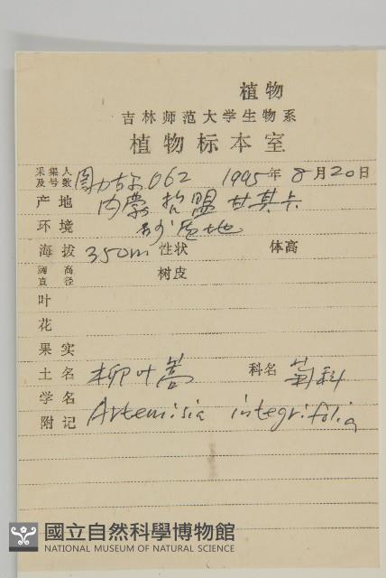 柳葉蒿藏品圖，第2張