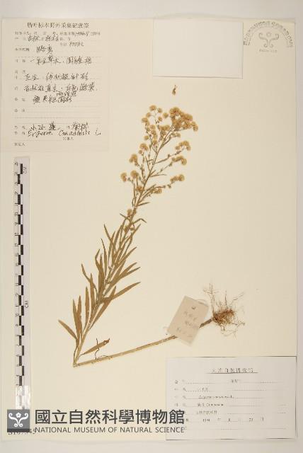 Accession Number:S107345 Collection Image, Figure 1, Total 3 Figures