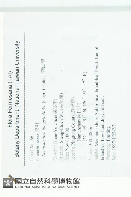 穿山龍藏品圖，第2張