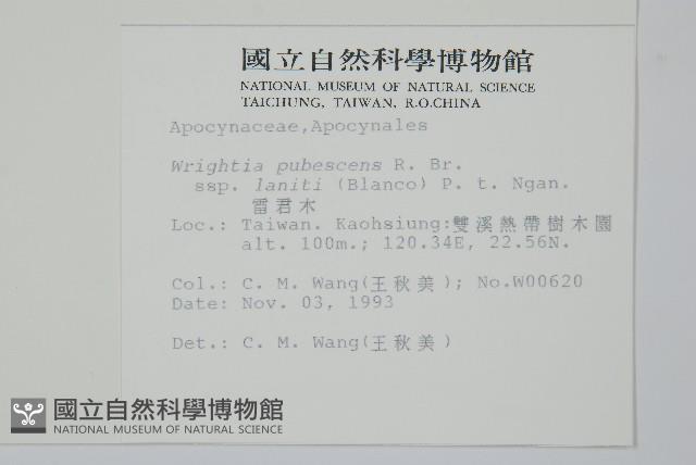 雷君木藏品圖，第2張