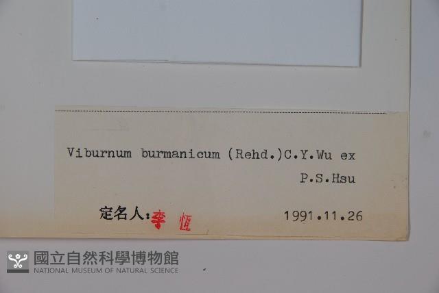 滇緬莢迷藏品圖，第2張