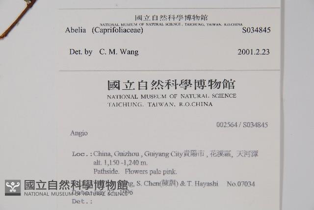 登錄號:S034845藏品圖，第2張