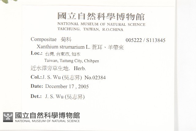 蒼耳、羊帶來藏品圖，第2張