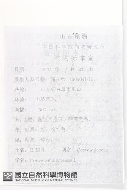 田旋花藏品圖，第2張