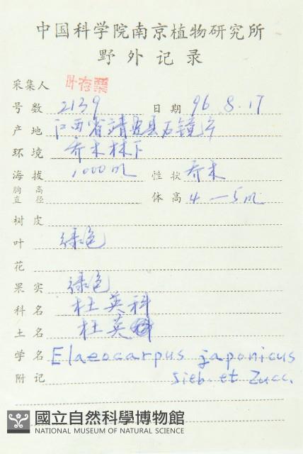 薯豆藏品圖，第2張