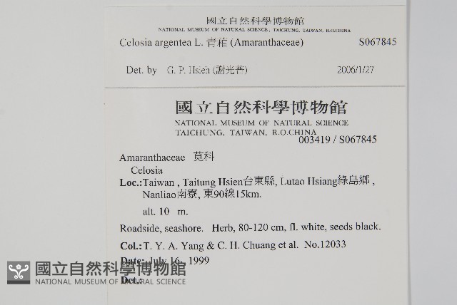 青葙藏品圖，第2張