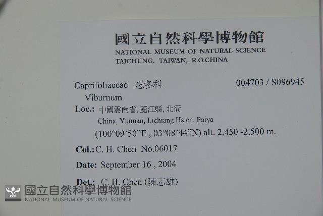 登錄號:S096945藏品圖，第2張