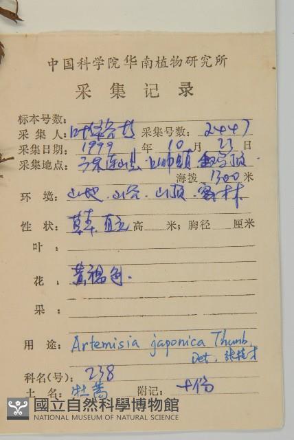 牡蒿藏品圖，第2張