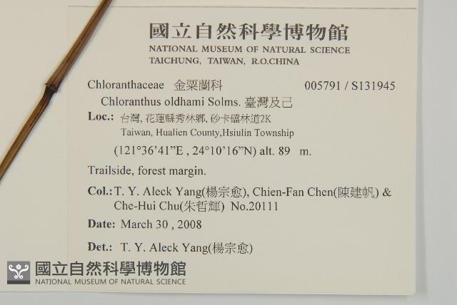 臺灣及己藏品圖，第2張