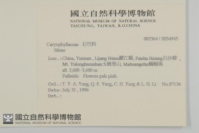 登錄號:S034945藏品圖，第2張