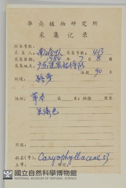 牛繁縷藏品圖，第2張