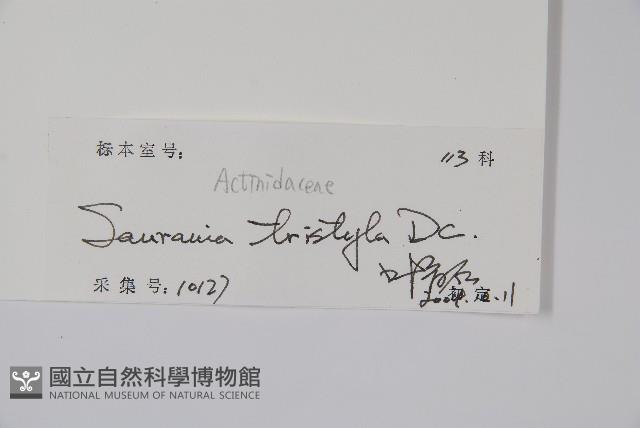 水東哥藏品圖，第2張