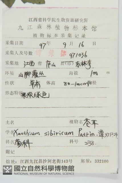 蒼耳藏品圖，第2張