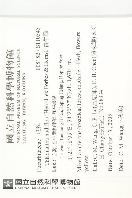 青牛膽藏品圖，第2張