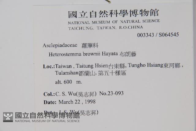 布朗藤藏品圖，第2張