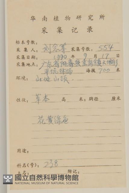 薄葉艾納香藏品圖，第2張