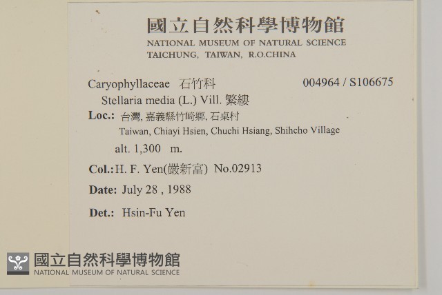 繁縷藏品圖，第2張